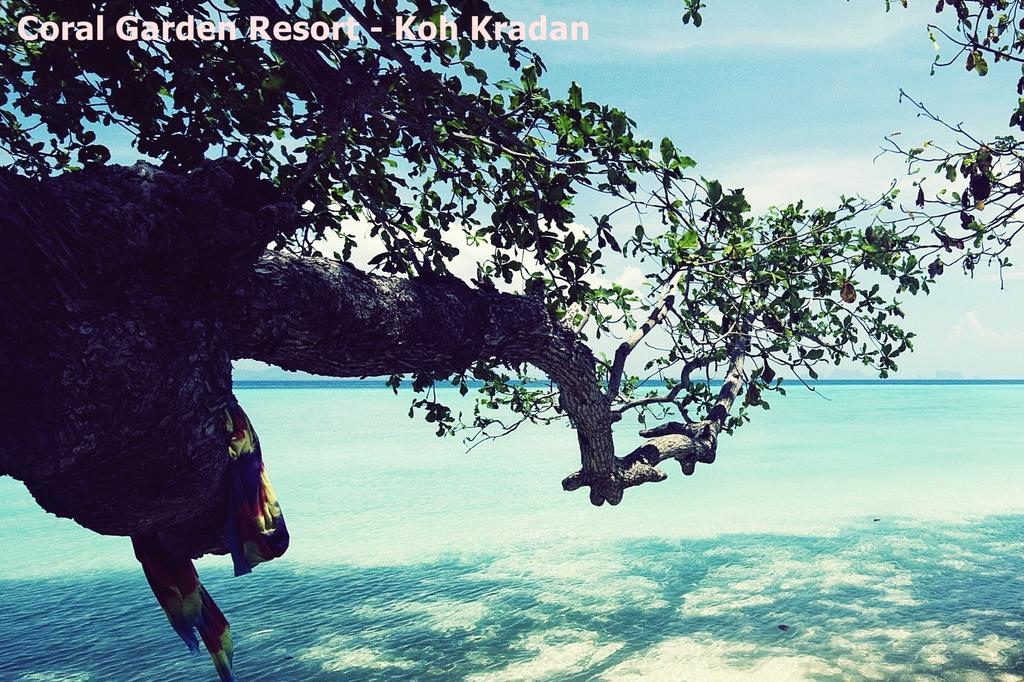 Coral Garden Resort Đảo Đảo Koh Kradan Ngoại thất bức ảnh